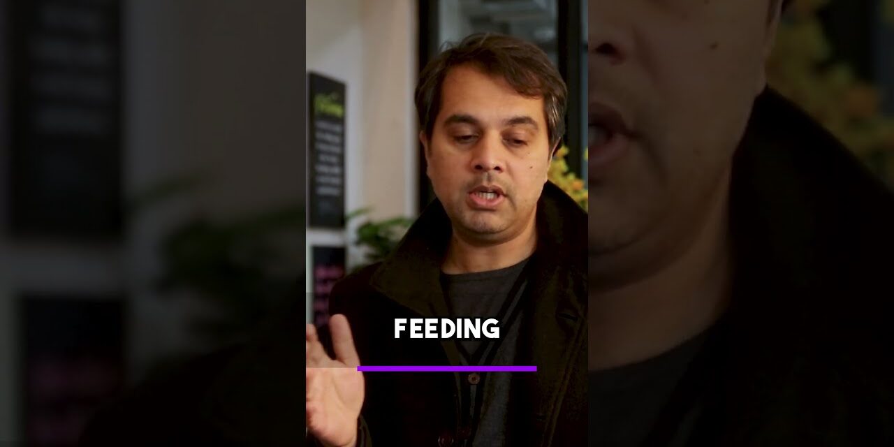 How Can The Content Be Repurposed For Conversion Driven Marketing?