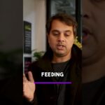 How Can The Content Be Repurposed For Conversion Driven Marketing?